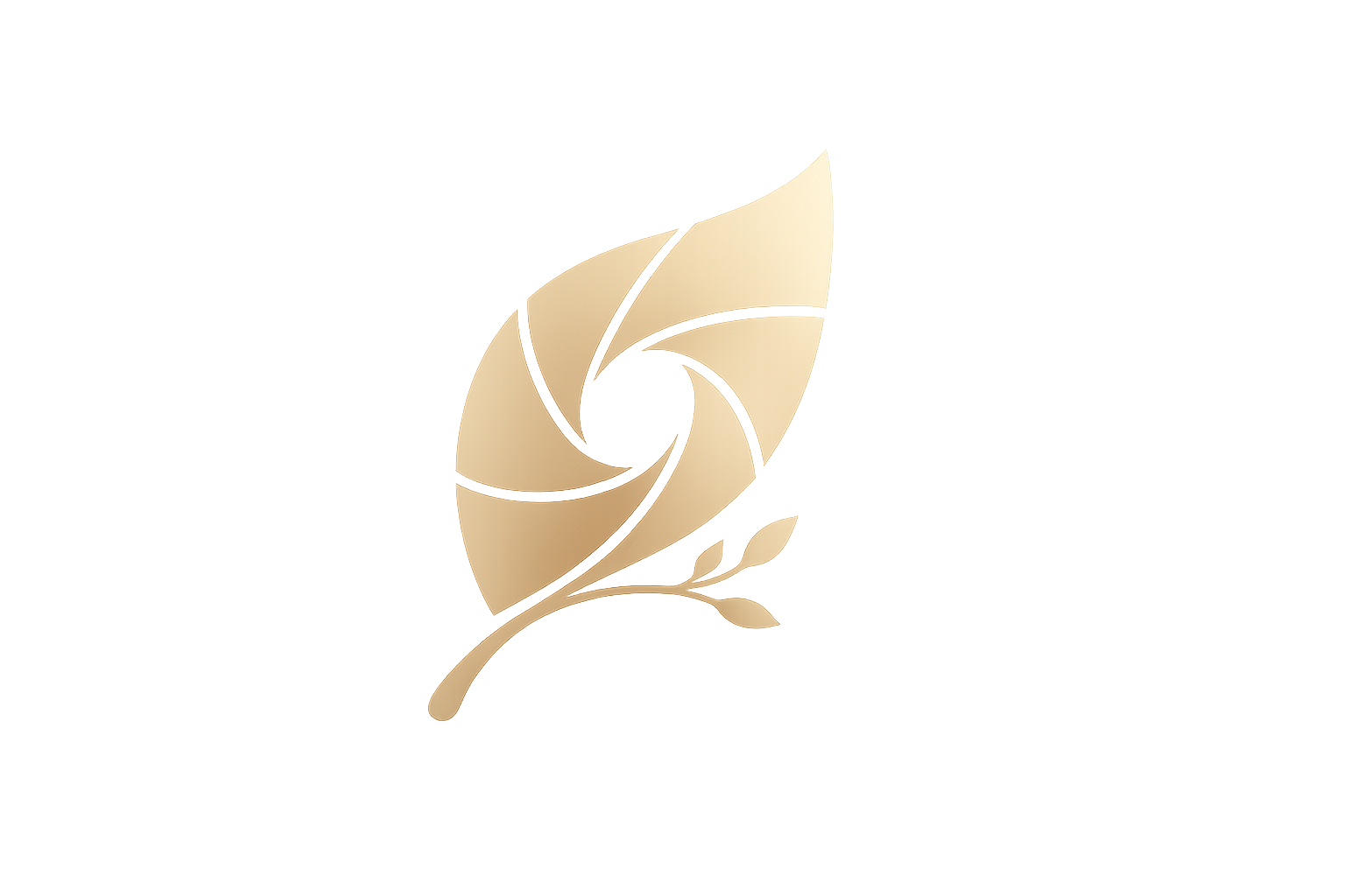 Linsenblatt Kollektiv Logo